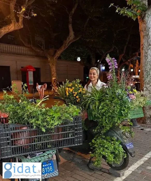 نفیسه+روشن (3)